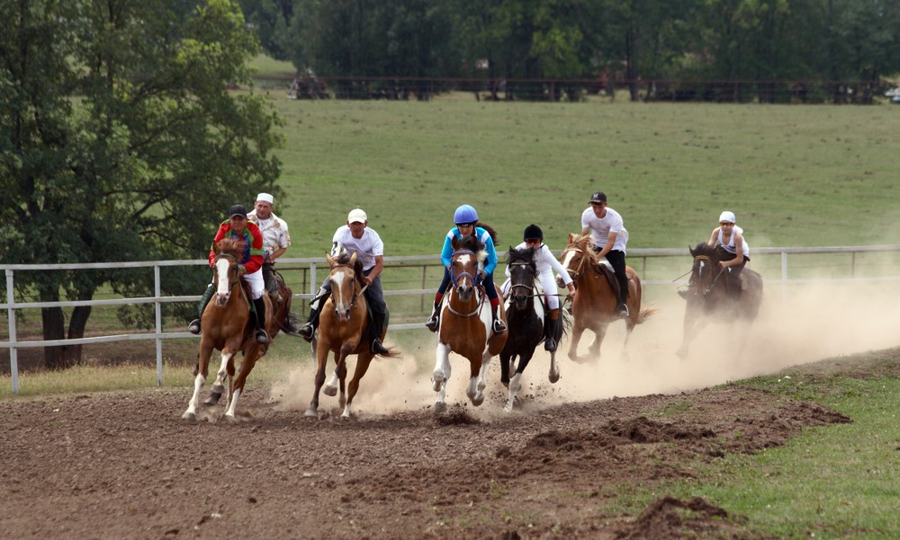 What Does Scratched Mean In Horse Racing?