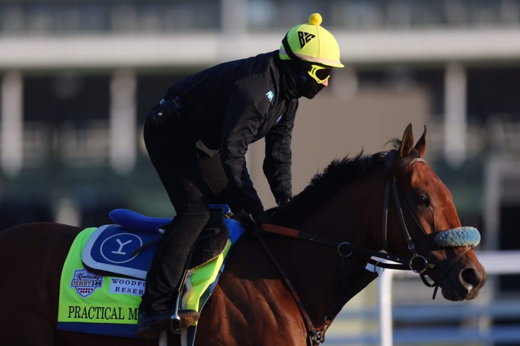 What Does Scratched Mean In Horse Racing?