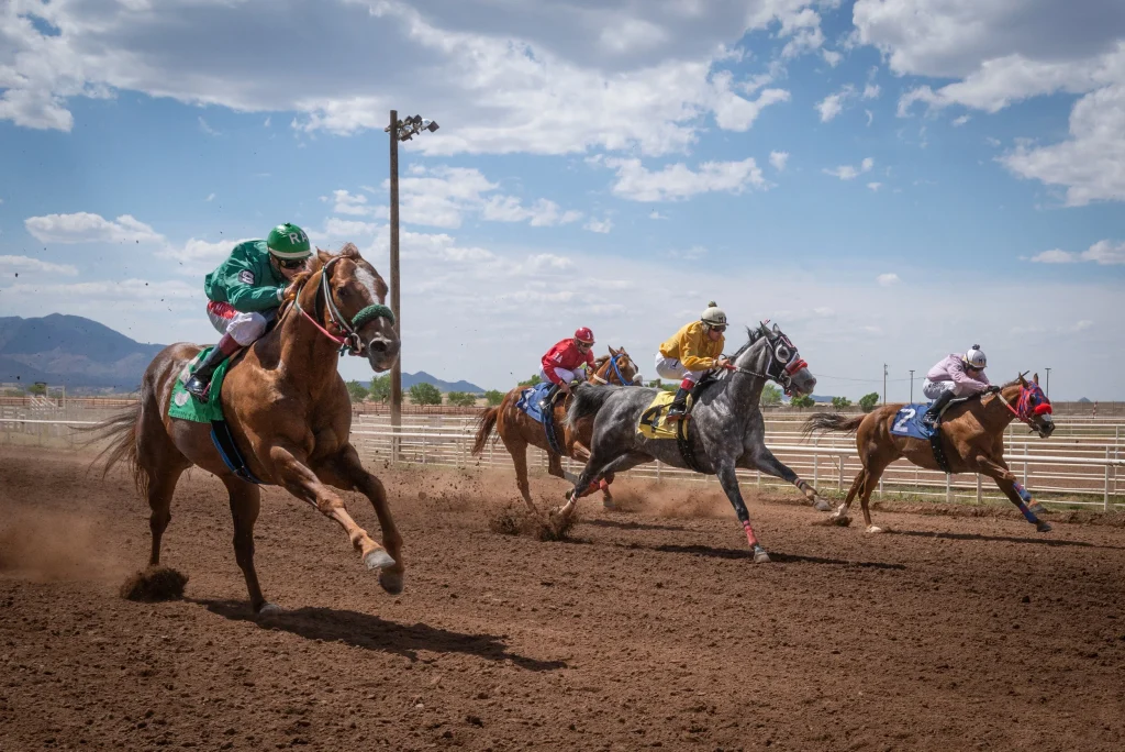 What Is Trifecta In Horse Racing?