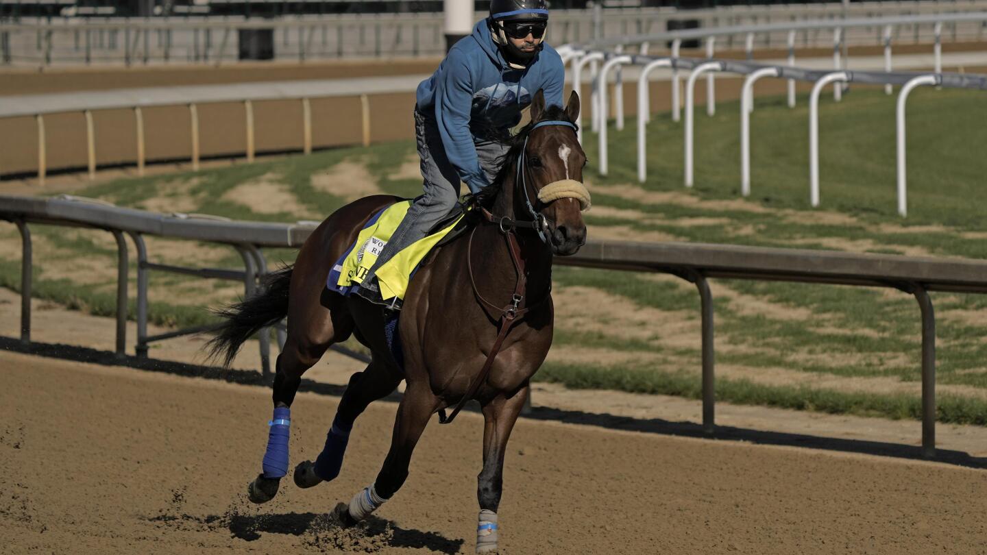 What Does Scratched Mean In Horse Racing?
