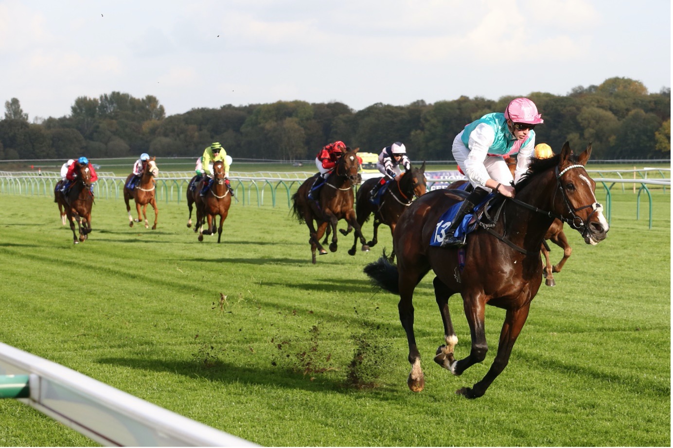 What Is Trifecta In Horse Racing?