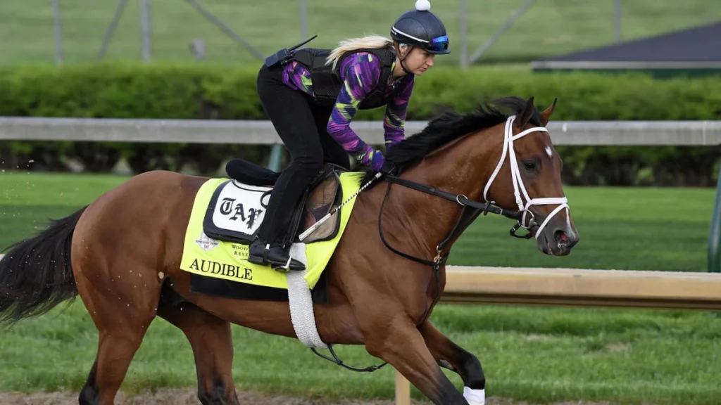 What Is Trifecta In Horse Racing?